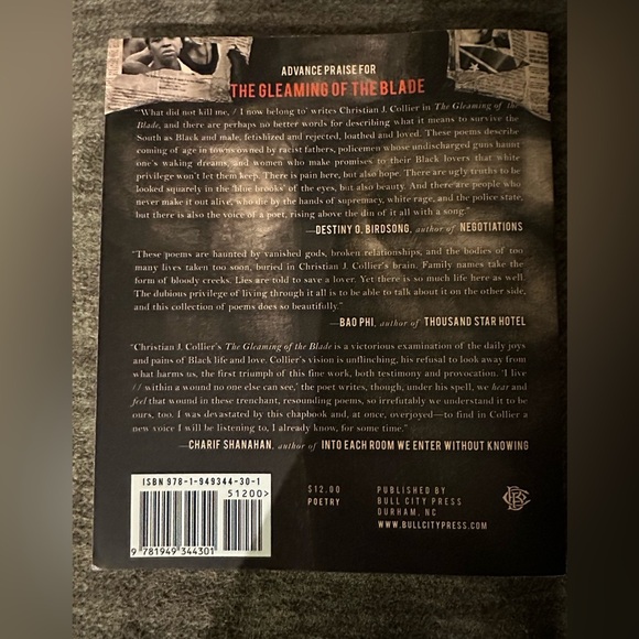 The gleaming of the blade - Picture 2 of 2